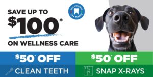 AVG Dental Care Promo Image