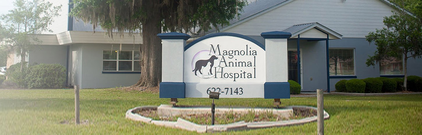 Call magnolia sales animal hospital